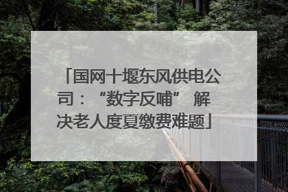 国网十堰东风供电公司：“数字反哺” 解决老人度夏缴费难题